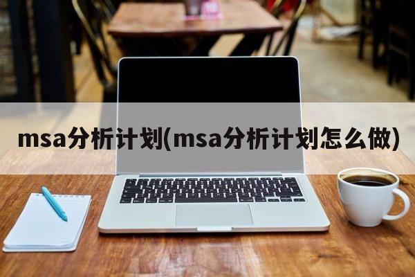 msa分析计划(msa分析计划怎么做)